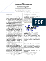 informepractica2lipidos-151129002627-lva1-app6892.pdf