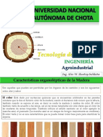 Tecn-madera-Agroindustrial  3-5.pdf