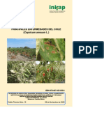 Principales enfermedades del chile capsicum annum l.pdf