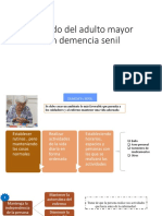 Cuidado Del Adulto Mayor Con Demencia Senil-Manejo Familiar Del Pacienite Con Alzheimer