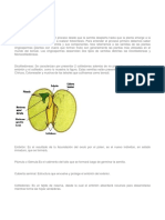 Germ I Nación