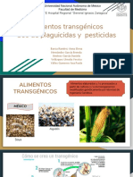 Alimentos Transgénicos y Uso de Pesticidas y Plaguicidas
