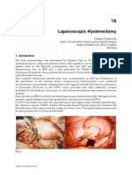 Laparoscopic Hysterectomy: Center of Minimally Invasive Gynecological Surgery Amper Kliniken AG, 85221 Dachau Germany
