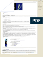 Dictyoptera: Discussion of Phylogenetic Relationships