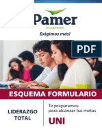 Esquema Formulario Pamer