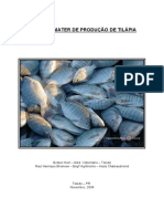 ModeloEmaterProd_Tilapia.pdf