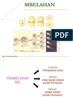 Bab 4 Pembelahan Sel