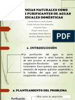 Semillero Química Waterlife 2017 Hoy