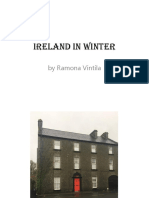 Ireland in Winter: by Ramona Vintila