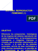 Sistema Rep. Femenino 1