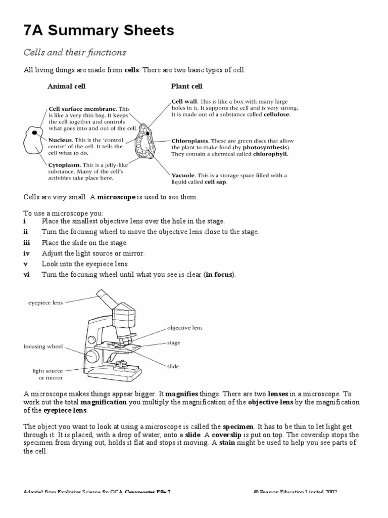 Science Revision Yr7 Pdf Pdf Solution Plas
