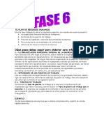 Fase 6