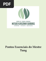 Pontos Essenciais do Mestre Tung.pptx