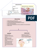 Resumen Sesion Segunda Parte