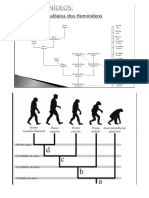 Processo de hominização e árvore filogenética