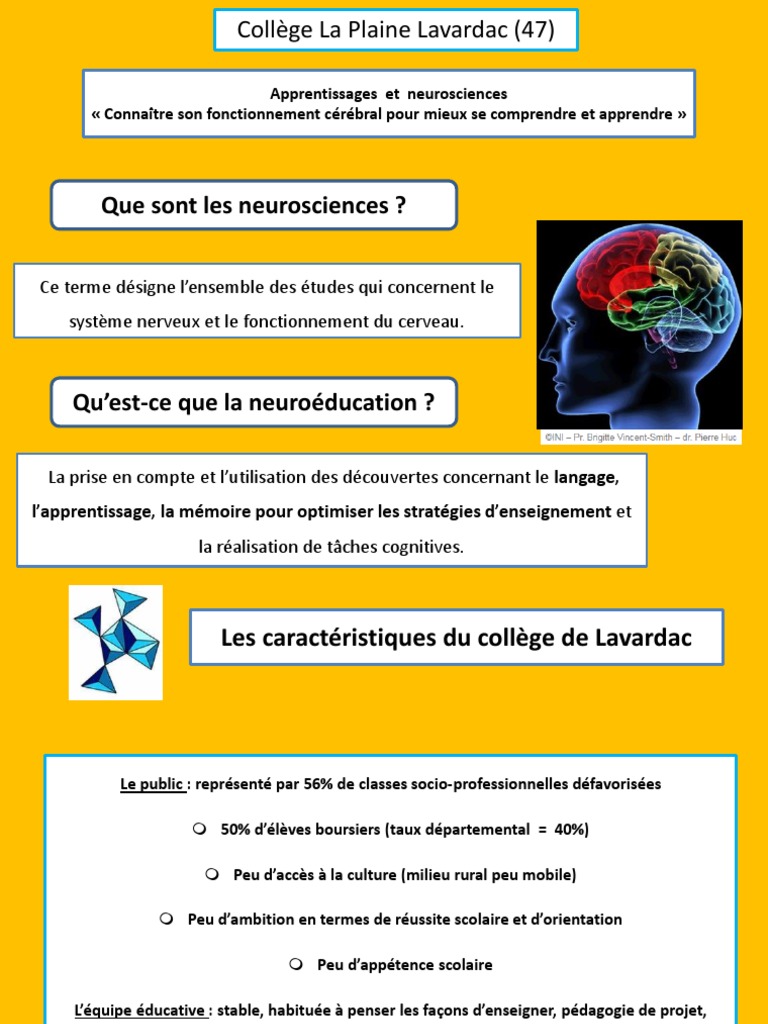 Apprentissages Et Neurosciences Connaître Son Fonctionnement Cérébral ...