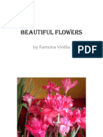 Beautiful Flowers: by Ramona Vintila