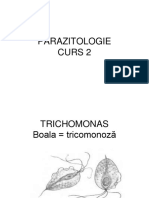 PARAZITOLOGIE Curs 2