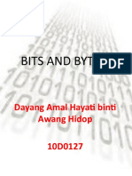Bits and Bytes: Dayang Amal Hayati Binti Awang Hidop 10D0127