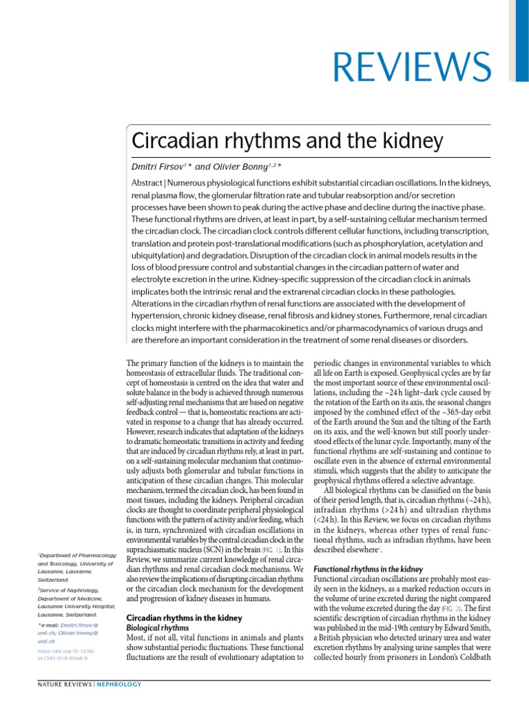 Circadian Rhythms in Kidney Function | PDF | Circadian Rhythm | Kidney