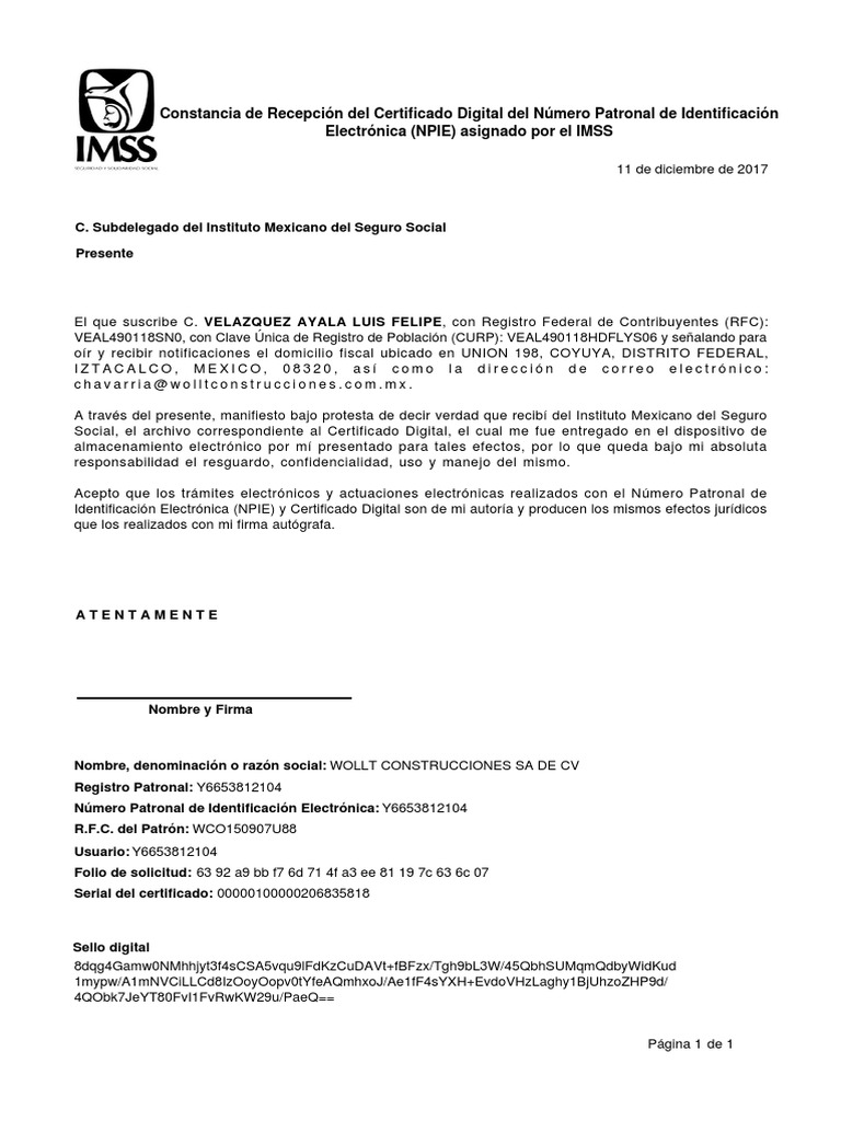 Acuse | PDF | Gobierno | Informática y tecnología de la información