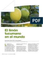 Avance 38 2 Limon 2017 PDF