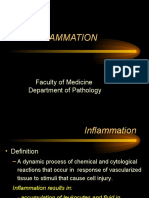 Pathology, Chapter 3, Inflammation (Slides)