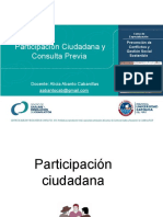 Participación Ciudadana