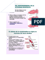  Exposición Anatomía