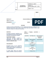 Formato-para-informe-ORGANICA-2 (1)