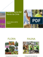 Flora y fauna norte Chile