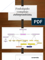 Fosfolipido Complejo Esfingomielina