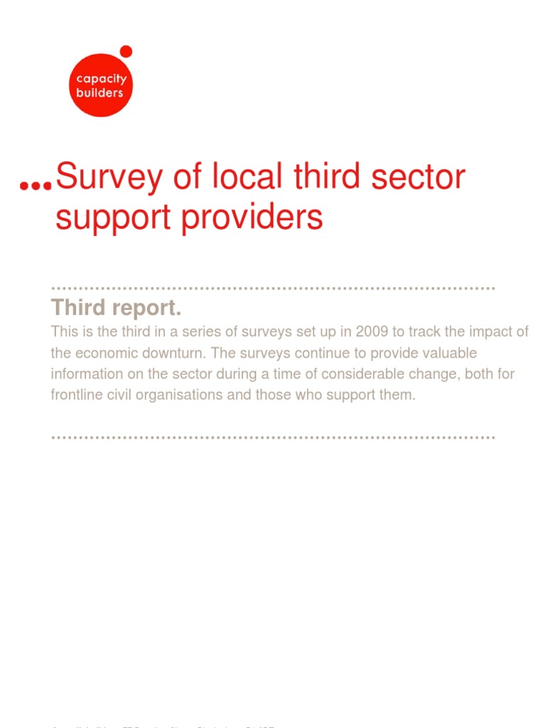 Local Third Sector Support Survey Insights | PDF