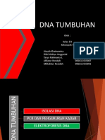 Genmol. Dna Tumbuhan