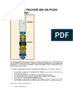 Informe Packer