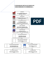 Struktur Radiologi