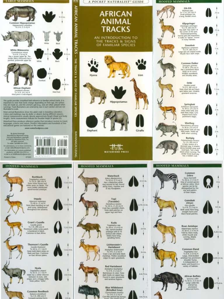 African Mammals (Tracks) | PDF | Antelope | Bovidae