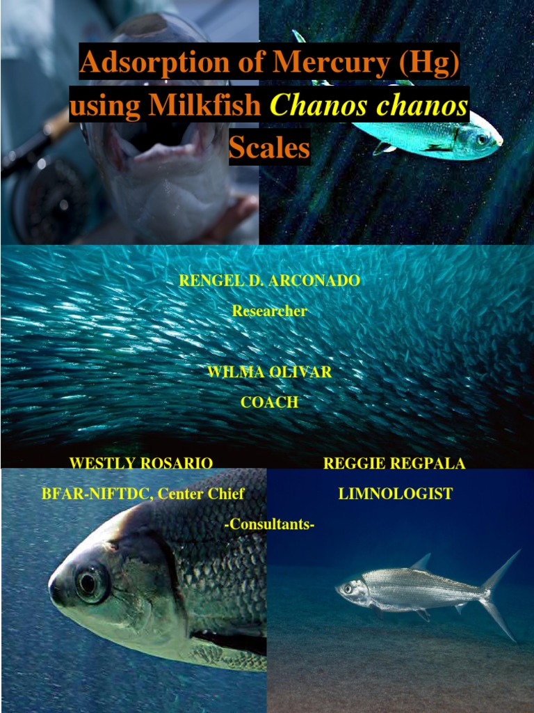 Is Milkfish High In Mercury : Which Fish Have the Highest and Lowest ...
