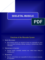 Skeletal Muscle Functions and Physiology