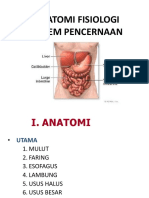 Anatomi Fisiologi Cerna