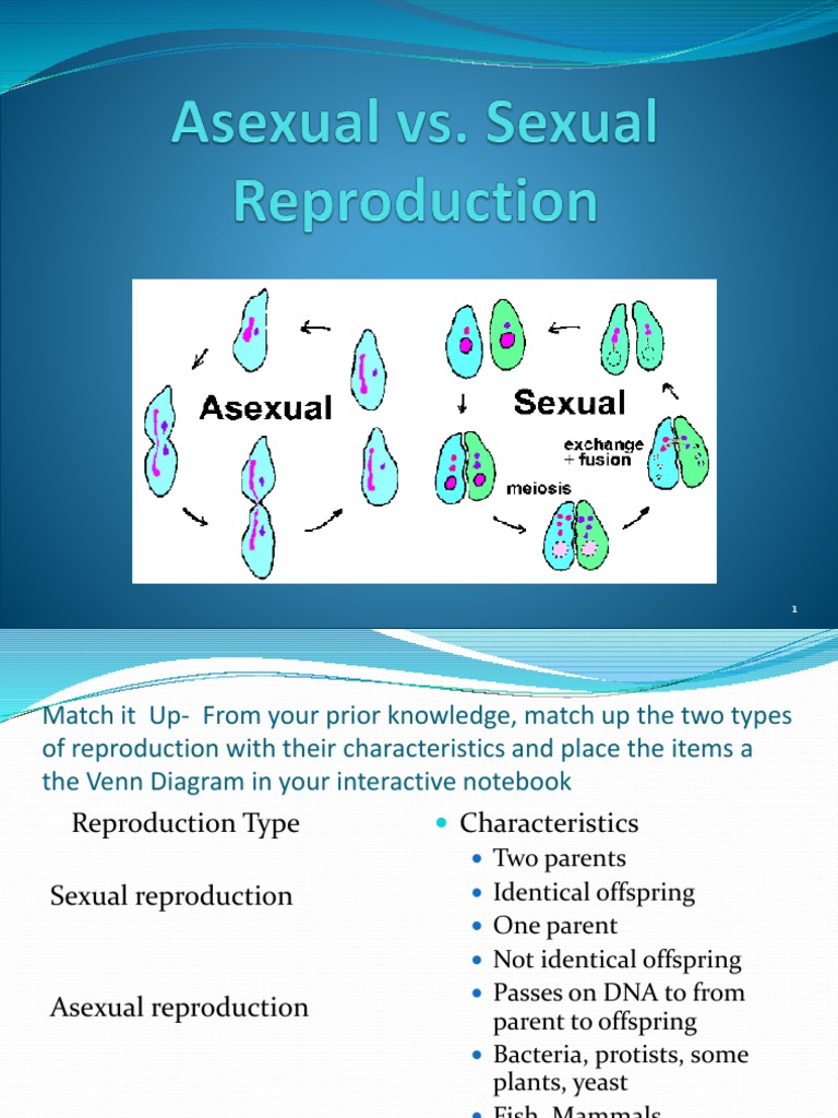 Sexual And Asexual Reproduction Venn Diagram