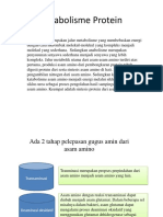 PPT Katabolisme protein.pptx