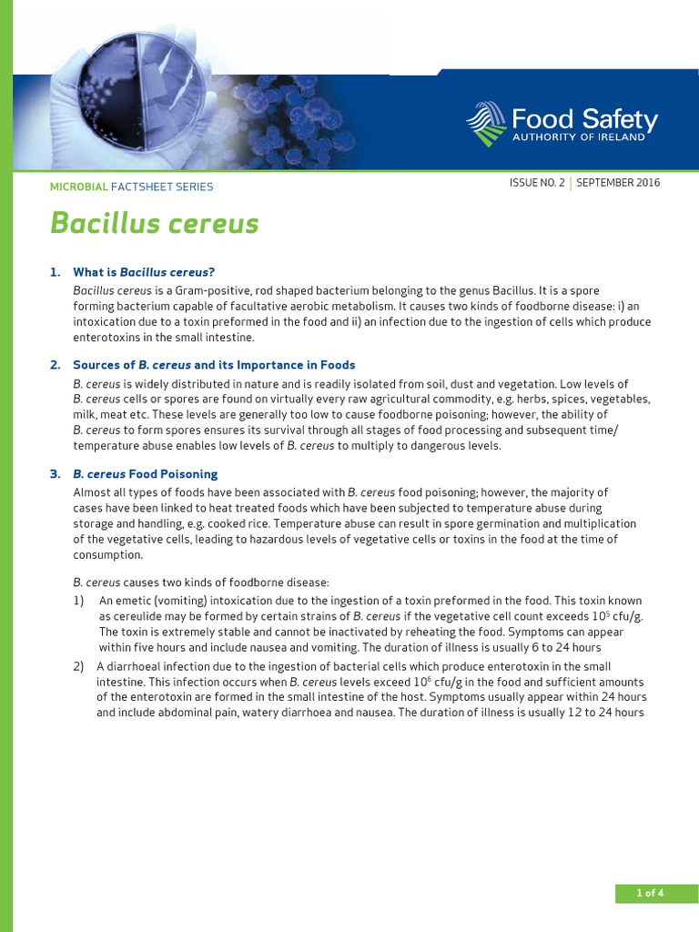 Bacillus Cereus: Food Safety Insights | PDF | Foodborne Illness ...