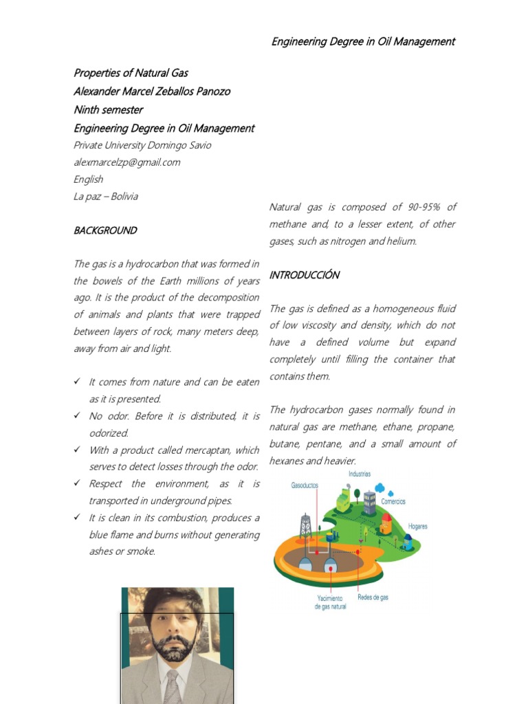Properties of Natural Gas Explained | PDF | Gases | Natural Gas