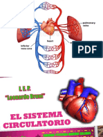 El sistema circulatorio.pptx