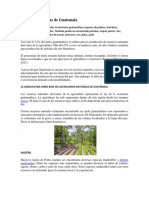 Recursos Naturales de Guatemala.docx