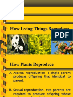 How Living Things Reproduce