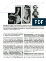 PARTE 2 Embriologia Básica (Moore-Persaud) PG 151-300