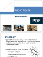 Typhoid Fever (1)