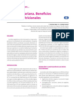 04 Dieta Vegetariana PDF